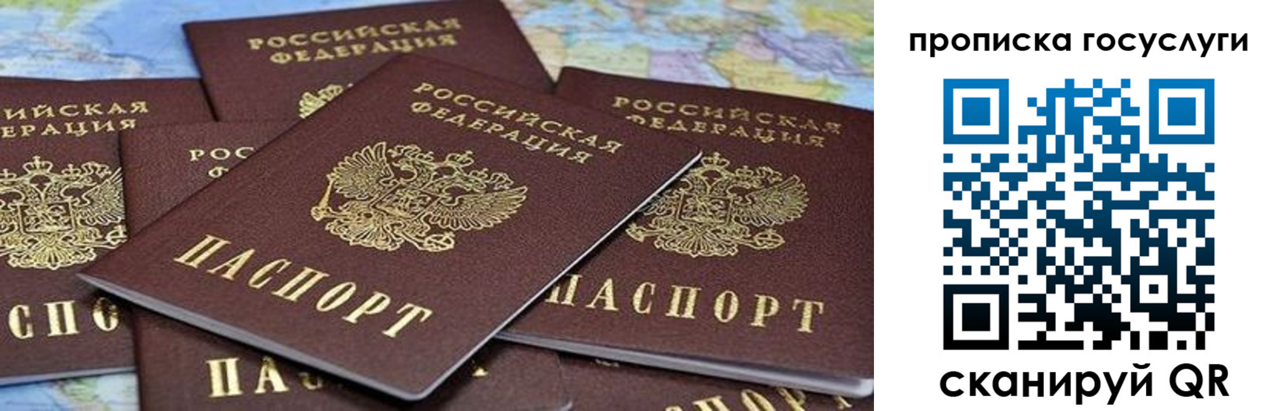 пропишу в квартире в Благовещенске